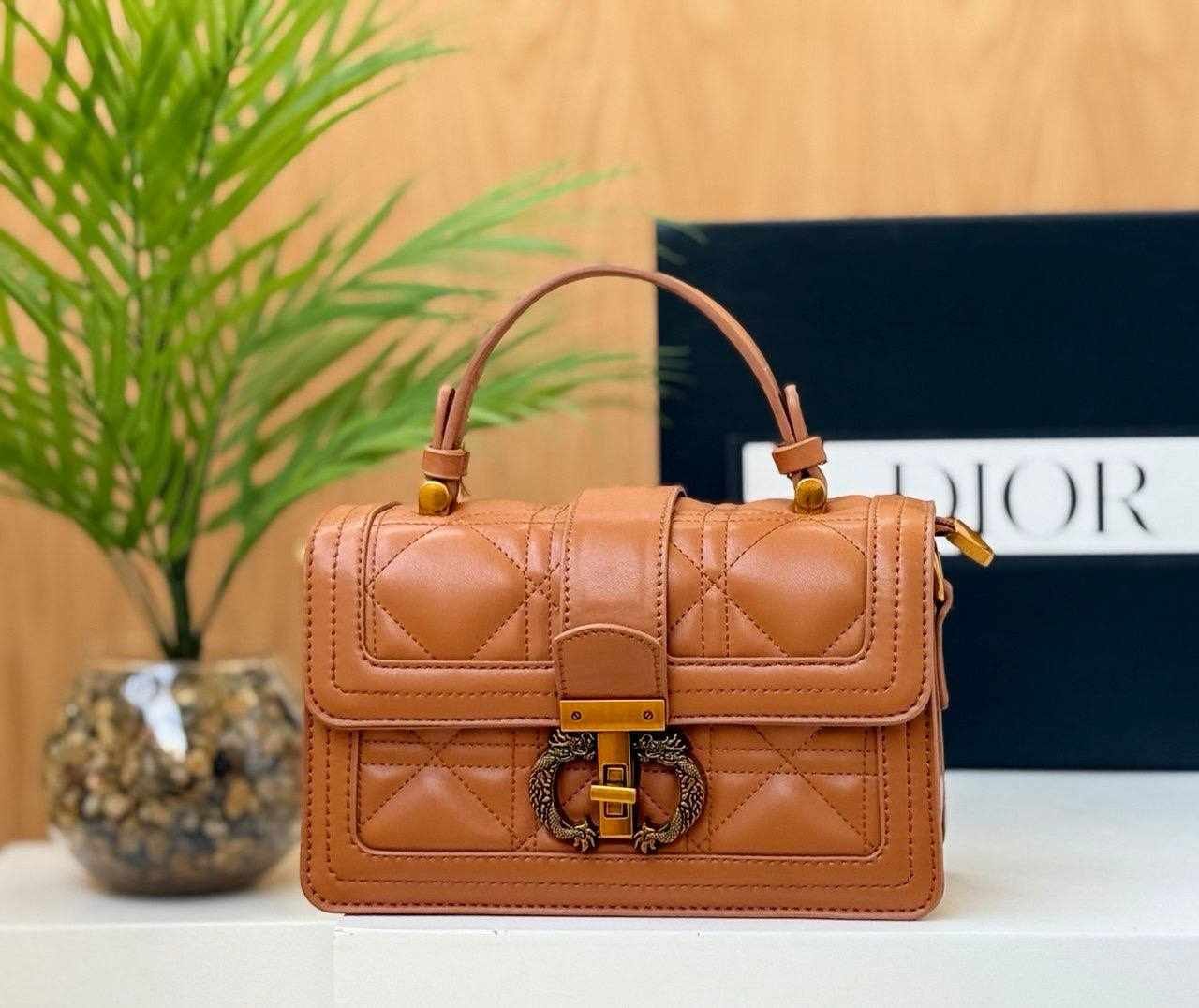 Dior Caro Bag