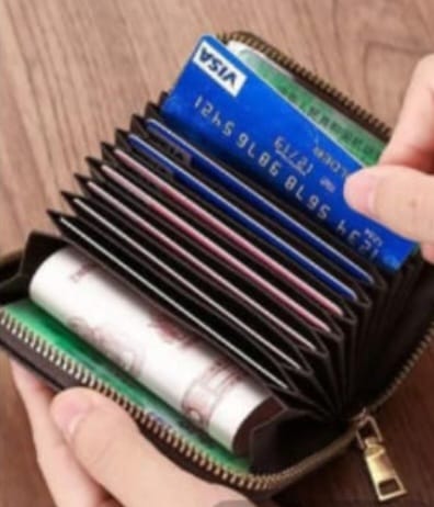 Zip-Around Accordion Card Holder
