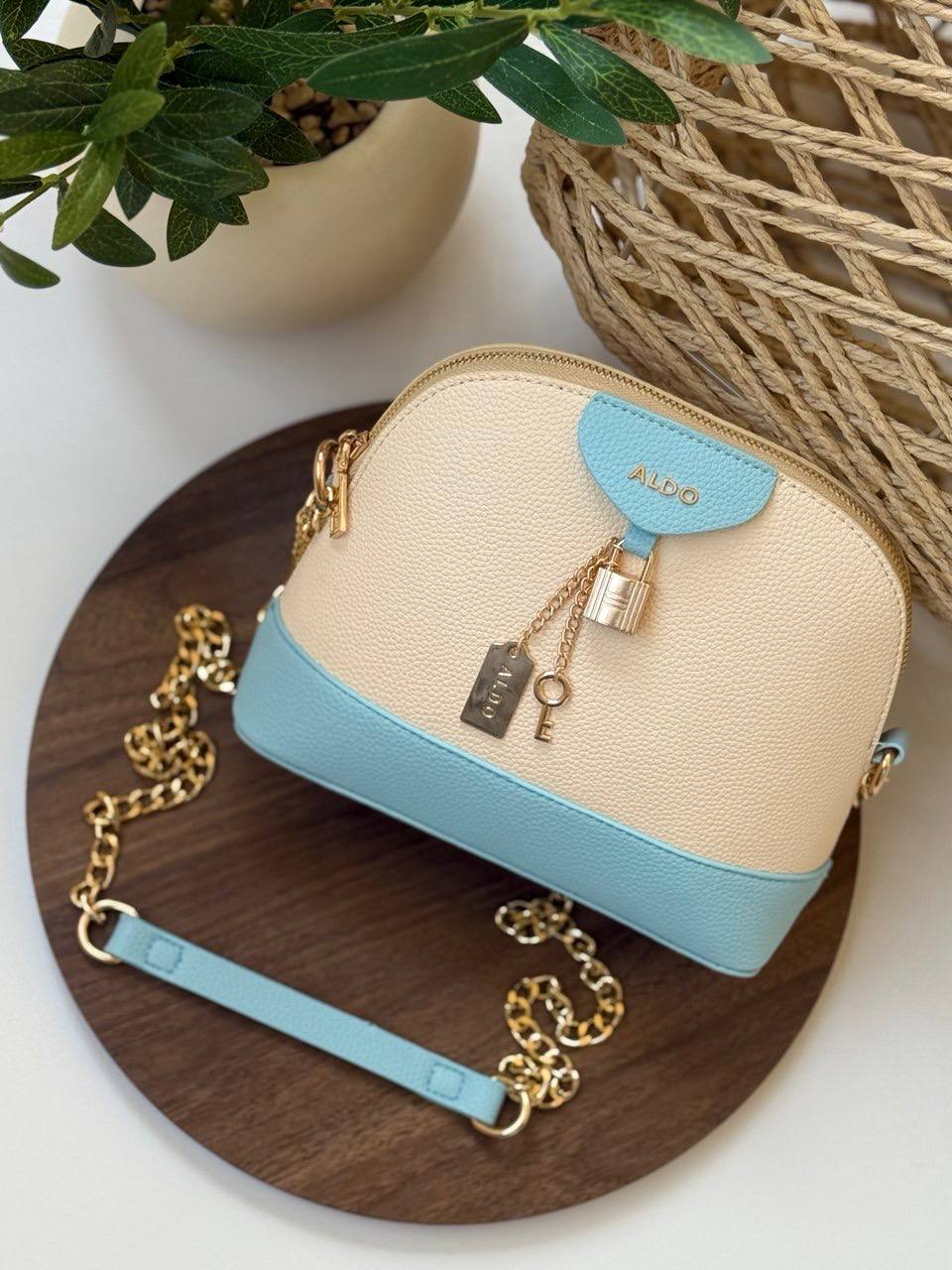 Aldo Striped Cross body Bag
